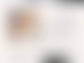 Newsletter de la bibliothèque 