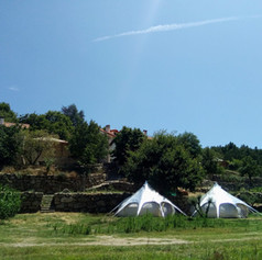 Tents super green.jpeg