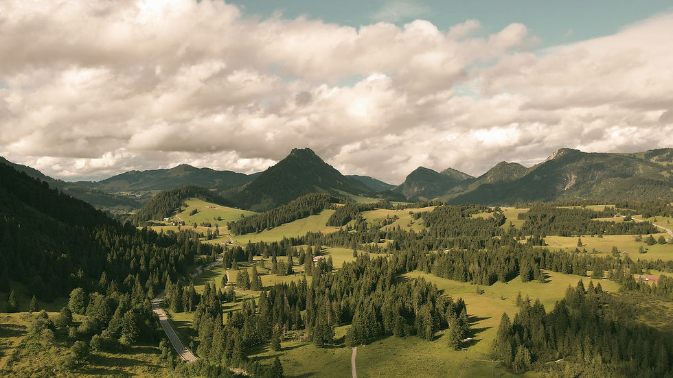 DJI_0369_edited.jpg