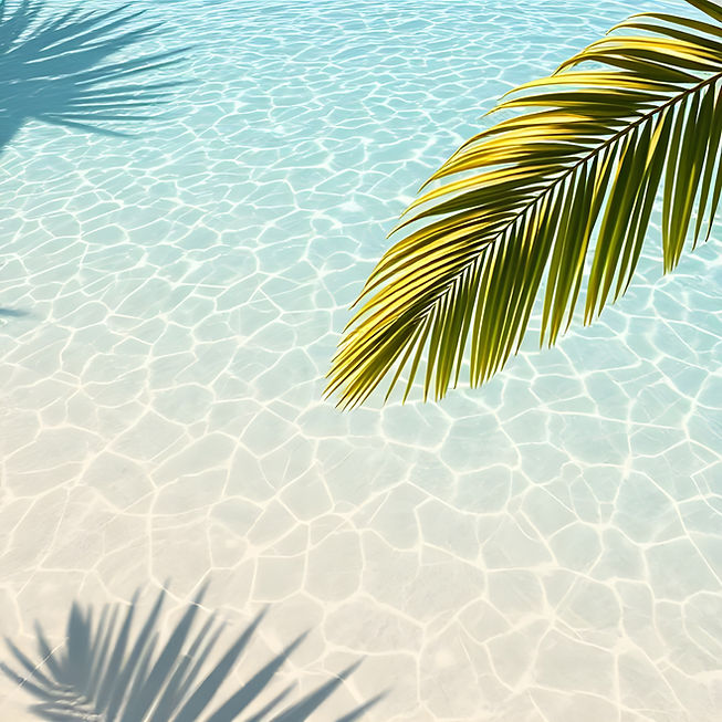 background4.jpg
