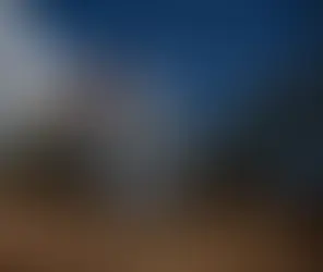 The Tremendous Fiscal Impact of the Hawaii Wildfire Losses