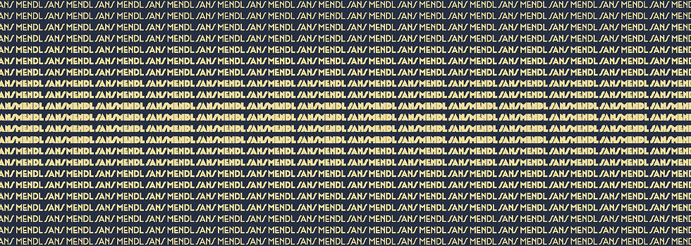 Final Type Specimen Book Chloe Kliewer_Page_4 copy.jpg