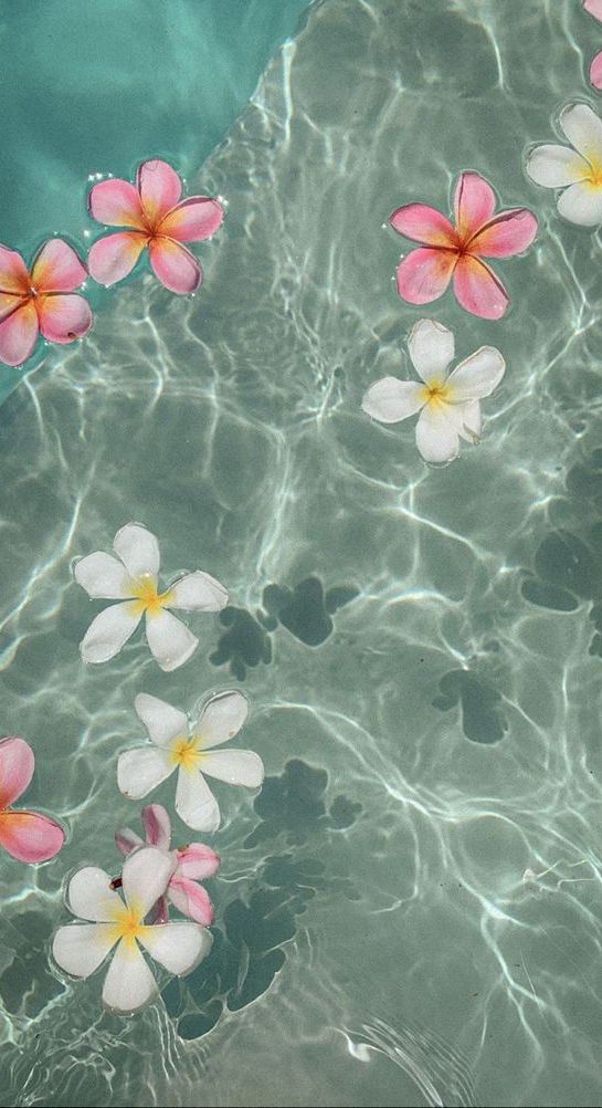 fleurs-eau3.jpg