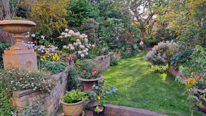 Open Garden in St Peter’s Square, May 17th, 2 - 6pm