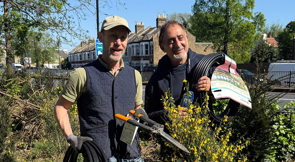 Ensuring the new planting at Berestede Road Open Space can thrive