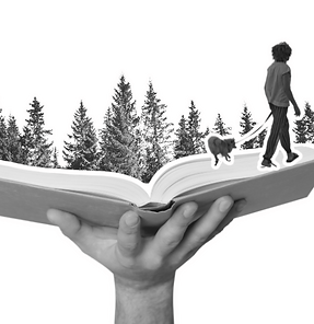 Untitled design (16).png