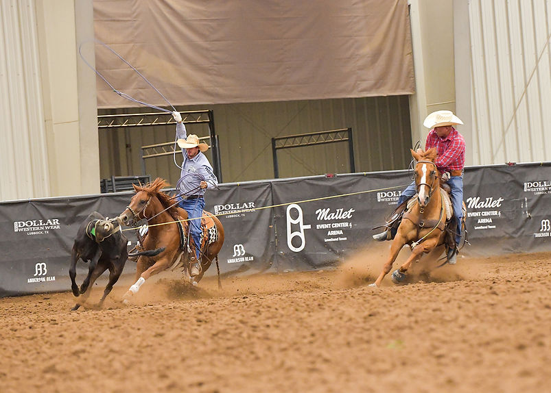 Home Clovis Horse Sales