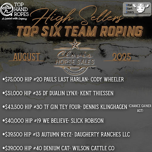 Top 6 team roping.jpg