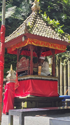 A Balinese priest in white attire sits in a red shrine with ornate design, surrounded by lush greenery, creating a serene, spiritual mood.