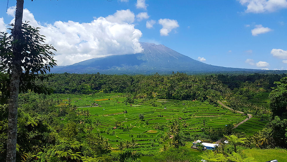 Green terraced rice fields spread below a cloud-capped Mount Agung volcano under a bright blue sky, framed by tropical trees.