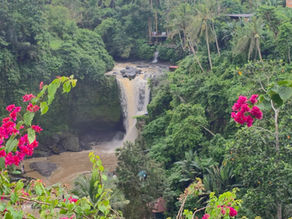 Lush waterfall in a dense green jungle, framed by vibrant pink flowers. Cottages visible, creating a serene and vibrant scene.