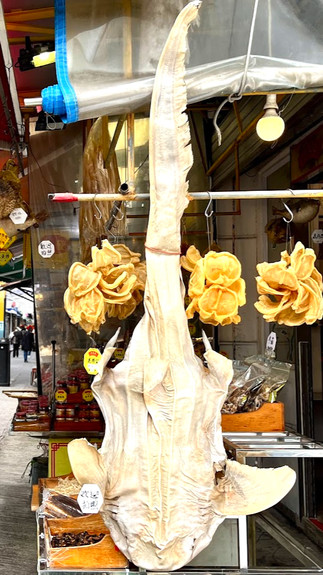 Fish drying in the sun at Tao O Fishing Village, where local fishermen carefully hang their catches to air-dry, preserving them for long-term storage and sale