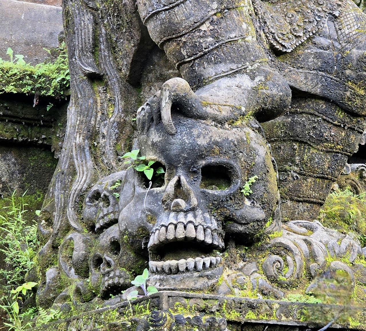 Stone sculpture of an open-mouthed skull surrounded by greenery. Weathered textures with a somber mood. Vines and leaves accent the scene.