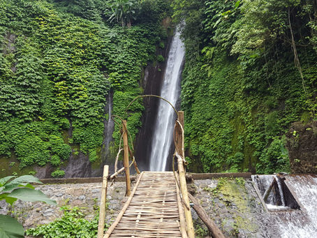 Wooden bridge leading to a waterfall in a lush green jungle setting with vines and leaves. Water flows over rocks, creating a tranquil scene.