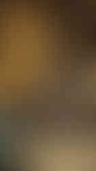 A dark statue adorned with gems sits cross-legged. A golden Buddha with a halo is in the background. Intricate carvings surround them.