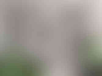 Intricate stone carving depicting a monkey and bird amidst lush foliage. Green plants frame the artwork, adding natural contrast.