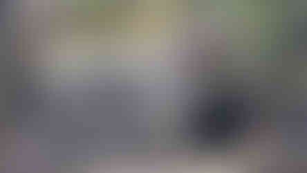 Stone statue of draped bull-like figure with moss, set in lush greenery and stone background, exuding a serene, ancient ambiance.