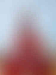 Red gemstone Buddha statue adorned with intricate silver patterns, seated in a meditative pose against a cloudy sky background.