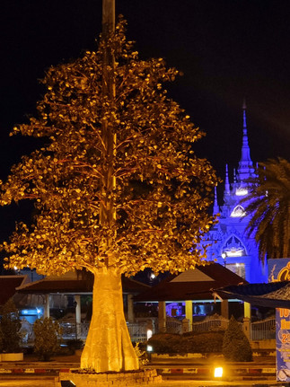 tree lit up at night in bright orange light, purple temple in the background