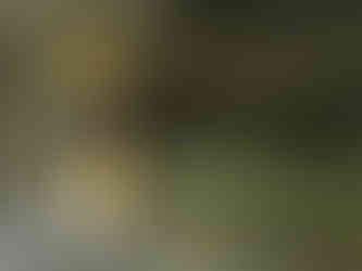 Two statues under yellow umbrellas in a rocky cave. One wears red, the other gold. Offerings and a checkered cloth visible. Peaceful setting.