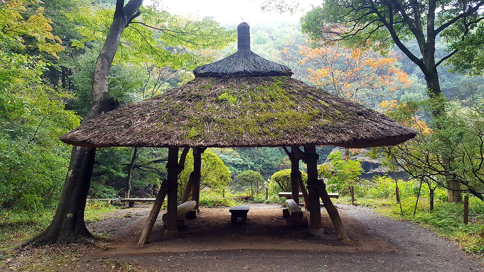 Rustic thatched-roof pavilion in a lush forest, surrounded by vibrant green and autumn-colored trees. Tranquil and serene setting.