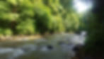River flowing through lush green forest with sunlight filtering through the trees. Rocks and gentle rapids create a serene, natural scene.