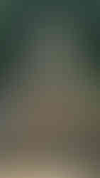 Ornate and mossy ancient temple in Bali, a rare dedication to Durga, jungle backdrop and multiple ancient stone statues flank a steep stairway