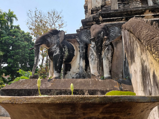2 weathered stone elephants standing guards, large stone bowl in the foreground with budding lotus flowers