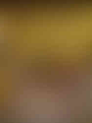 heavily ornate gold ceiling with red timber pillars looking at a gold throne on red steps