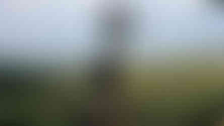 Woman in black stands on a platform, gazing at a lush green landscape. A sign reads "Punthuk Setumbu" on a tree. Sky is overcast.
