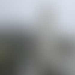 A large stone statue stands in a misty temple garden, surrounded by smaller statues and trees. A foggy atmosphere enhances the serene mood.