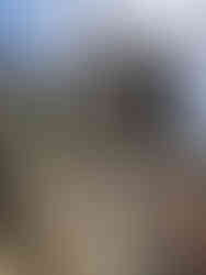 close up of a stone dragon naga guard beside temple stairs