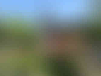 Lush garden with rocks and vibrant plants, set against a traditional Chinese building under a clear blue sky. Peaceful and serene setting.