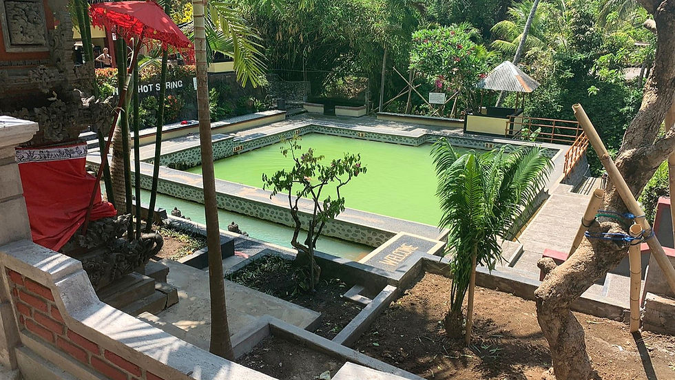Lush garden surrounds a rectangular hot spring with green water. Red canopy and carved stone in foreground. "Hot Spring" sign visible.