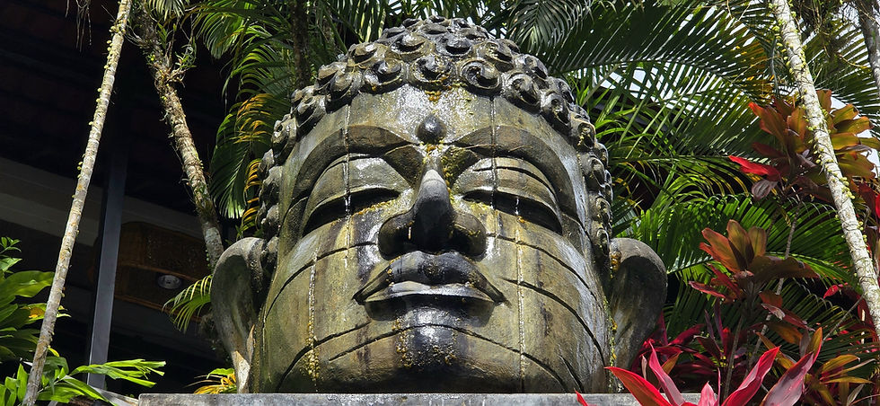 Large stone Buddha head amidst green foliage; serene expression, surrounded by palm leaves and red plants. Daylight setting.