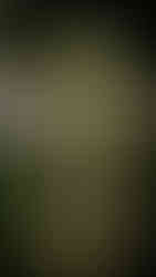 Moss-covered stone statue of a standing deity with intricate carvings, adorned with leaves, in a garden setting, exuding a serene aura.