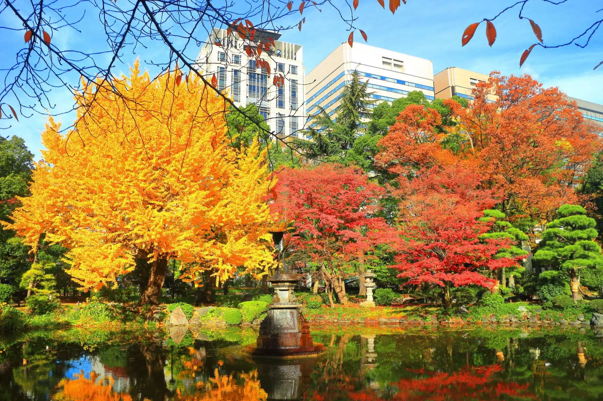 Vivid autumn maples with yellow, orange and red leaves, reflected in a mirror like lake, bronze sculpure in the centre of the water, city buildings in the background 