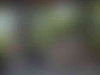 Stone statues under a pavilion with palm trees in the background. Bright greenery surrounds, and offerings are placed on one statue.