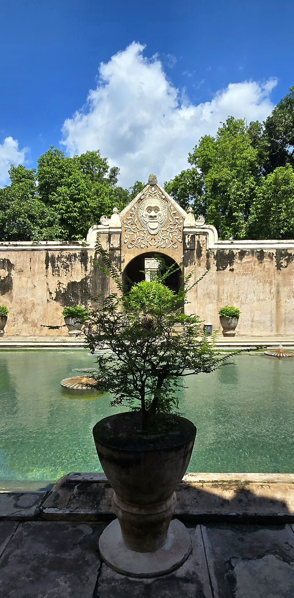 A lush garden with a potted tree overlooks a serene pool. Behind, an ornate archway with intricate carvings and greenery under a clear blue sky.