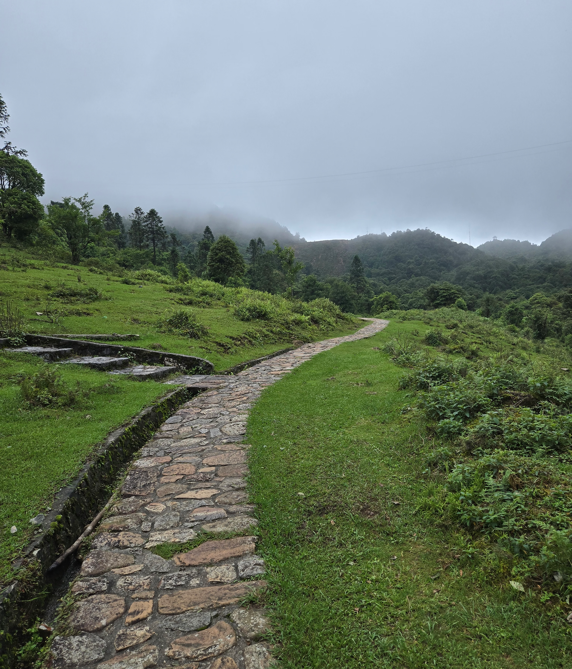 Stone path winding through lush green landscape, surrounded by misty hills and trees under a cloudy sky, creating a serene atmosphere.
