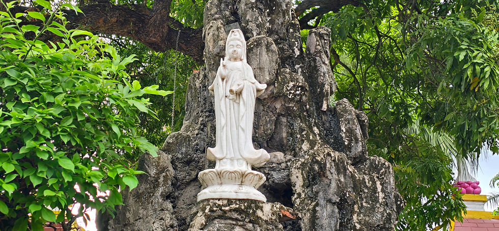 White statue on a rocky surface surrounded by lush green leaves. The serene setting includes tree branches and a glimpse of a building.