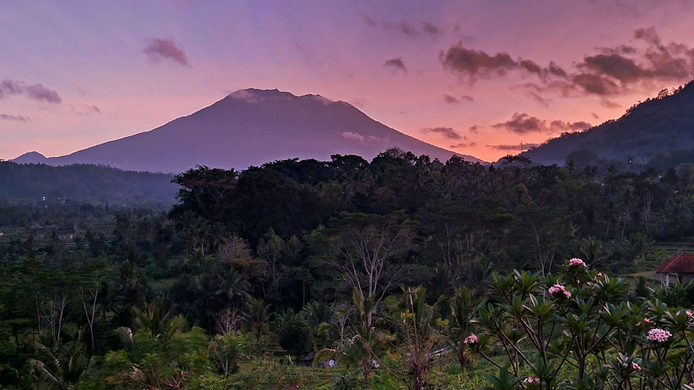 Volcanic mountain over lush forest at pink-purple sunset, with clouds and flowering trees in the foreground.