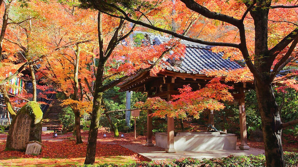 Japanese garden with vibrant autumn maple trees, a stone monument, and a traditional wooden structure under a clear blue sky.
