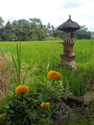 Yellow marigolds in a lush green field with palm trees and a stone shrine, under a cloudy sky. Peaceful, vibrant rural scene.