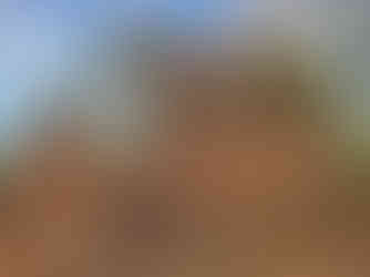 Seated monkey-headed guardians flanking the temple entrance, intricately carved in sandstone with their hands resting on their knees, representing divine protection and strength