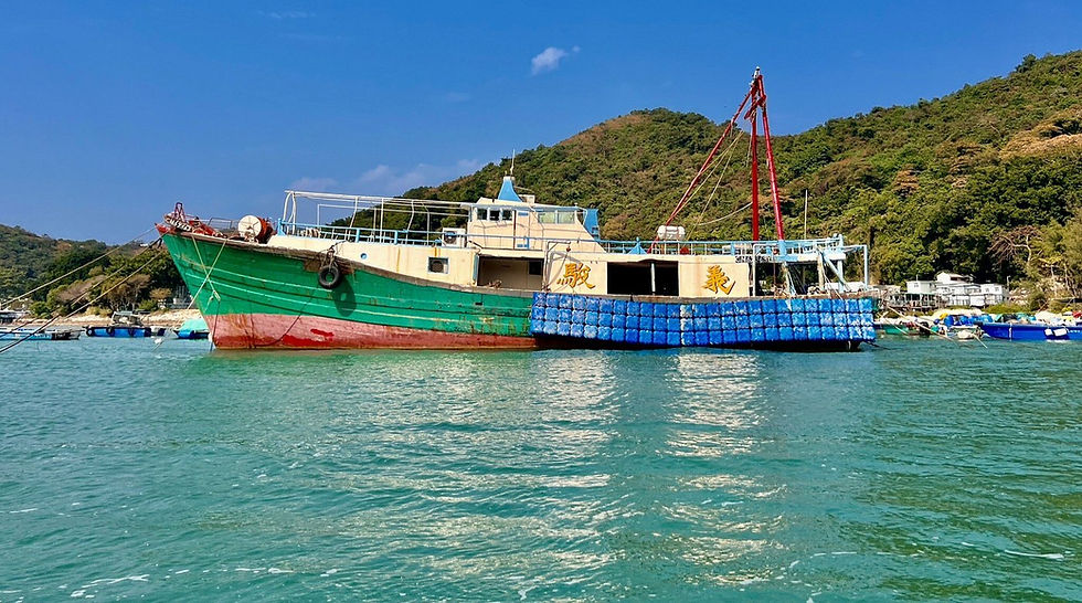 Green and red fishing boat anchored in calm blue water with hills in the background under a clear blue sky. Yellow text on the boat's side.