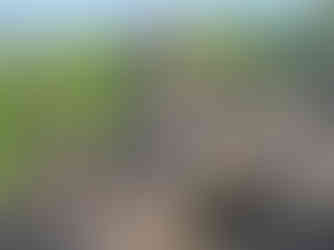 Stone Buddha statue in meditation pose atop ancient temple ruins, surrounded by lush green trees and distant hills under a blue sky.