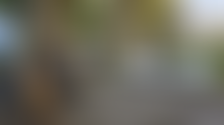 Stupas surrounded by trees with a stone path in the foreground. "Punthuk Setumbu" sign in large letters is visible. Calm evening light.