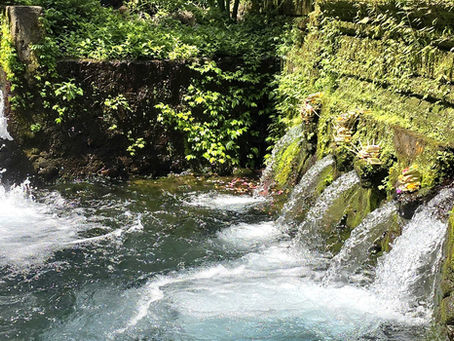Water flows from a mossy stone structure, surrounded by lush green foliage, creating a serene scene with splashing water and small offerings.