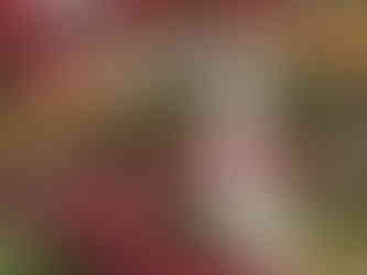 stone monument partially hidden by bright red and orange maple leaves